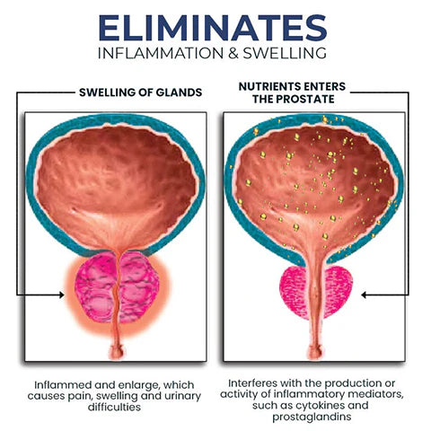 BeeBoom Men's Nasal Inhaler